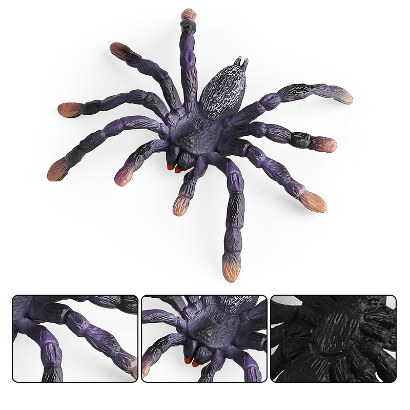 Oenux Insect Animals Model Spi - đánh giá và giá Kids Without Education