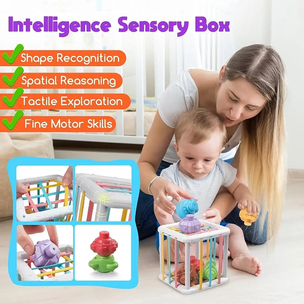 Rainbow Colorful Montessori Sh - đánh giá và giá Free Educational Games For Kids