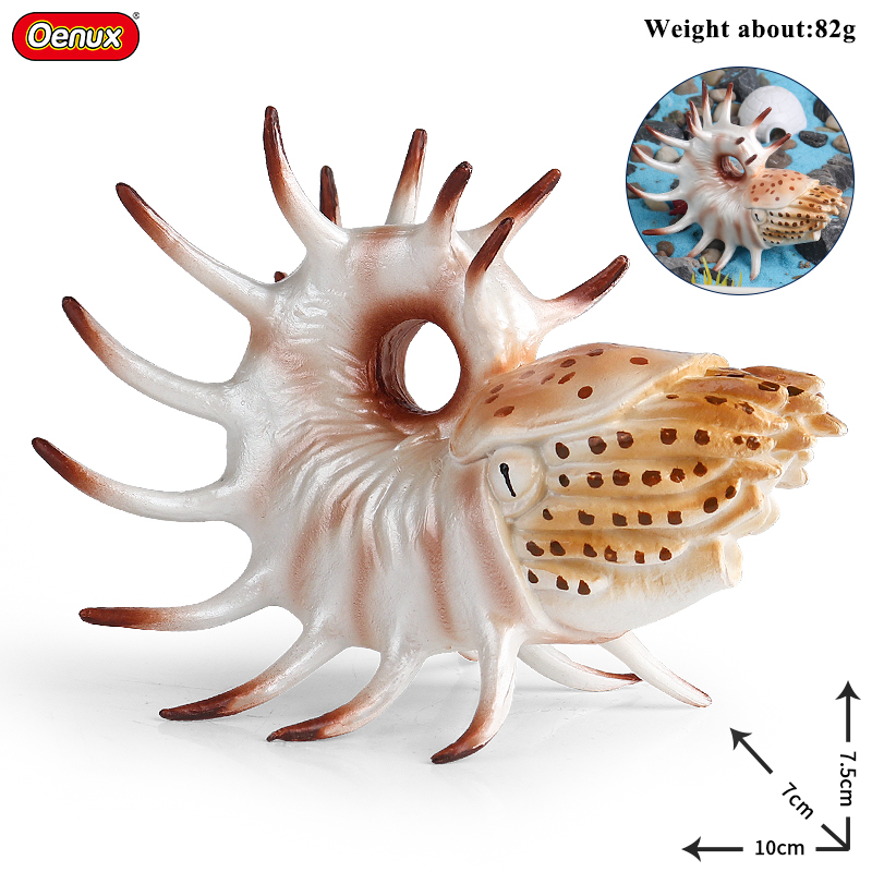 Oenux Sea Life Animals Coral O - đánh giá và giá Kids Without Education