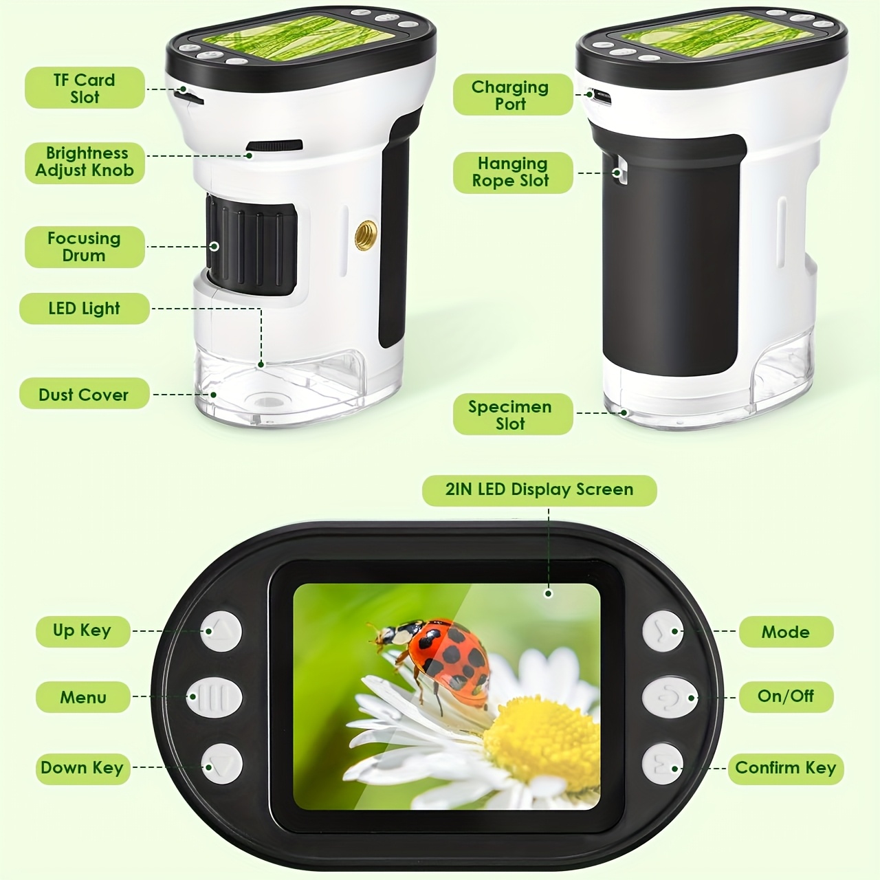 Kids Microscope Biological Kit - đánh giá và giá Kids Education Video