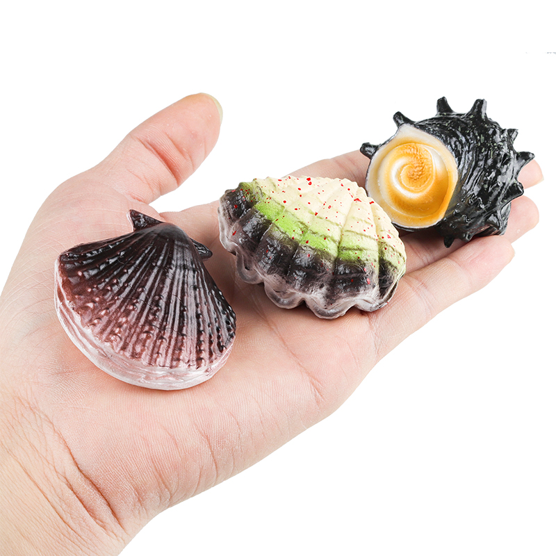 Oenux Ocean Oyste Scallop Star - đánh giá và giá Kids Without Education