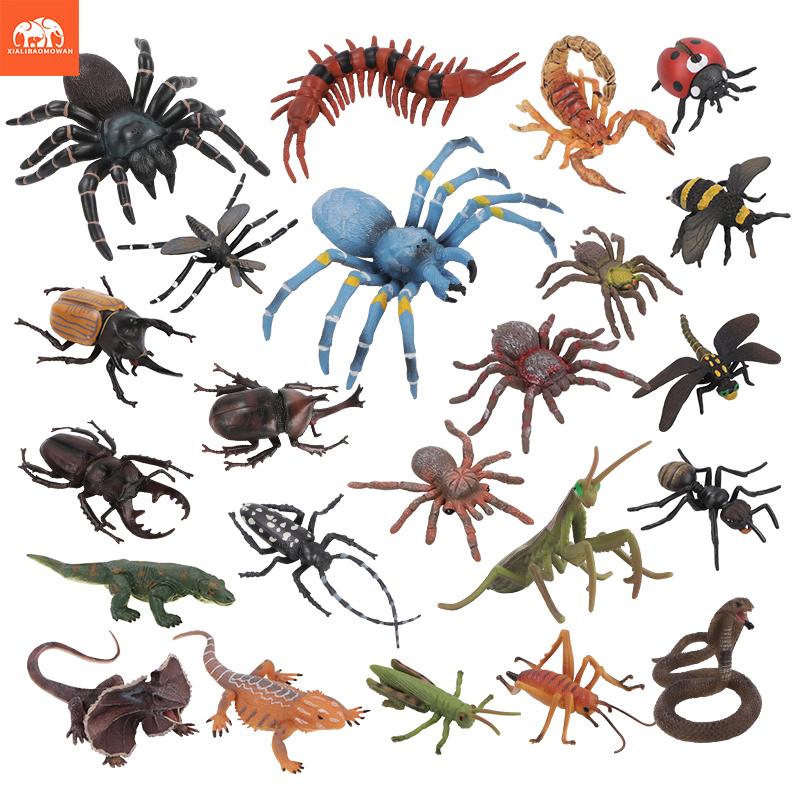 Educational Simulation Insect  - đánh giá và giá Kids Educational Game