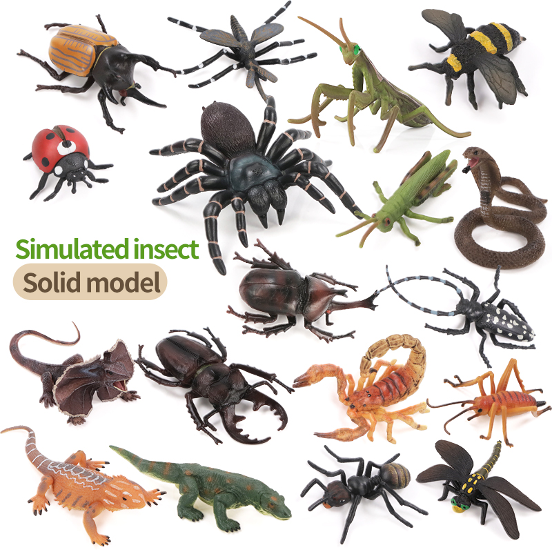 Educational Simulation Insect  - đánh giá và giá Kids Educational Game
