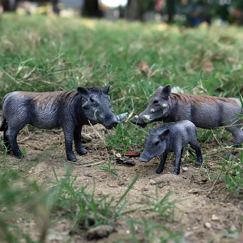Oenux Wild Boar Tapirus Indicu - đánh giá và giá Kids Without Education