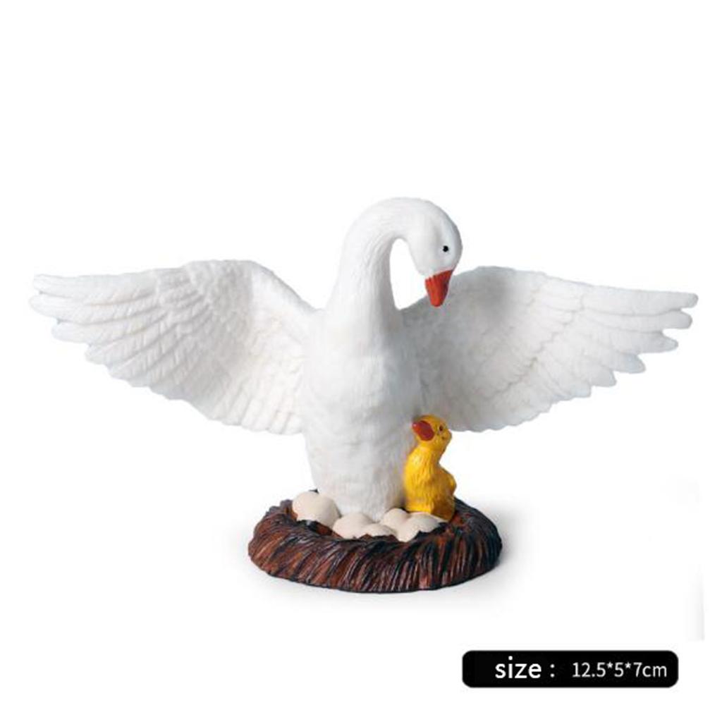 Realistic Swan Figurines Lifel - đánh giá và giá Kids Education Shows