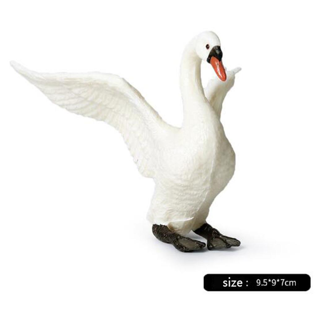 Realistic Swan Figurines Lifel - đánh giá và giá Kids Education Shows